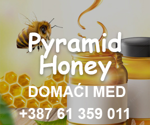  Pyramdi Honey
